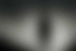 Фотография перформанса Затаившийся в темноте от компании Затаившийся в темноте  (Фото 1)