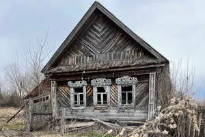 Пила